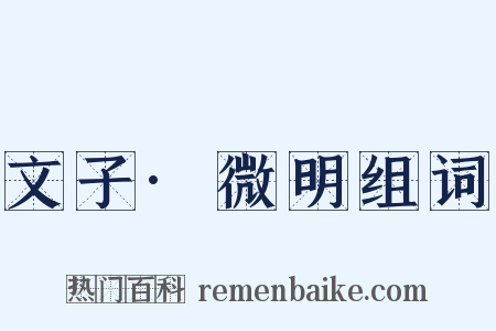 文子·微明组词是什么意思的图片